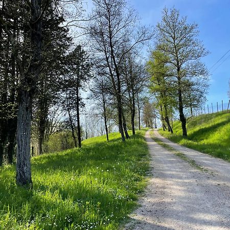 Agriturismo Podere Le Tombe Guest House ปาลายา ภายนอก รูปภาพ