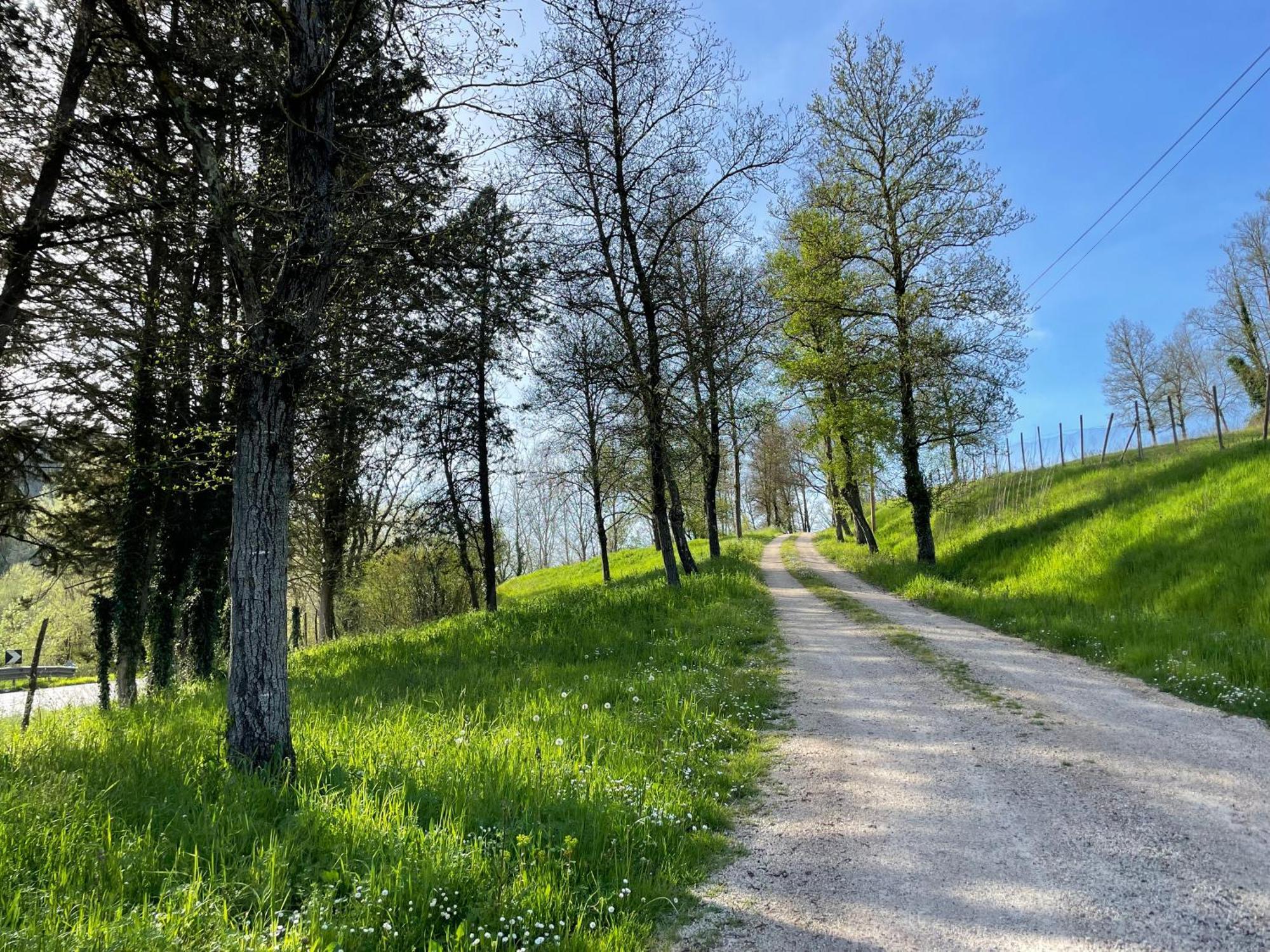 Agriturismo Podere Le Tombe Guest House ปาลายา ภายนอก รูปภาพ