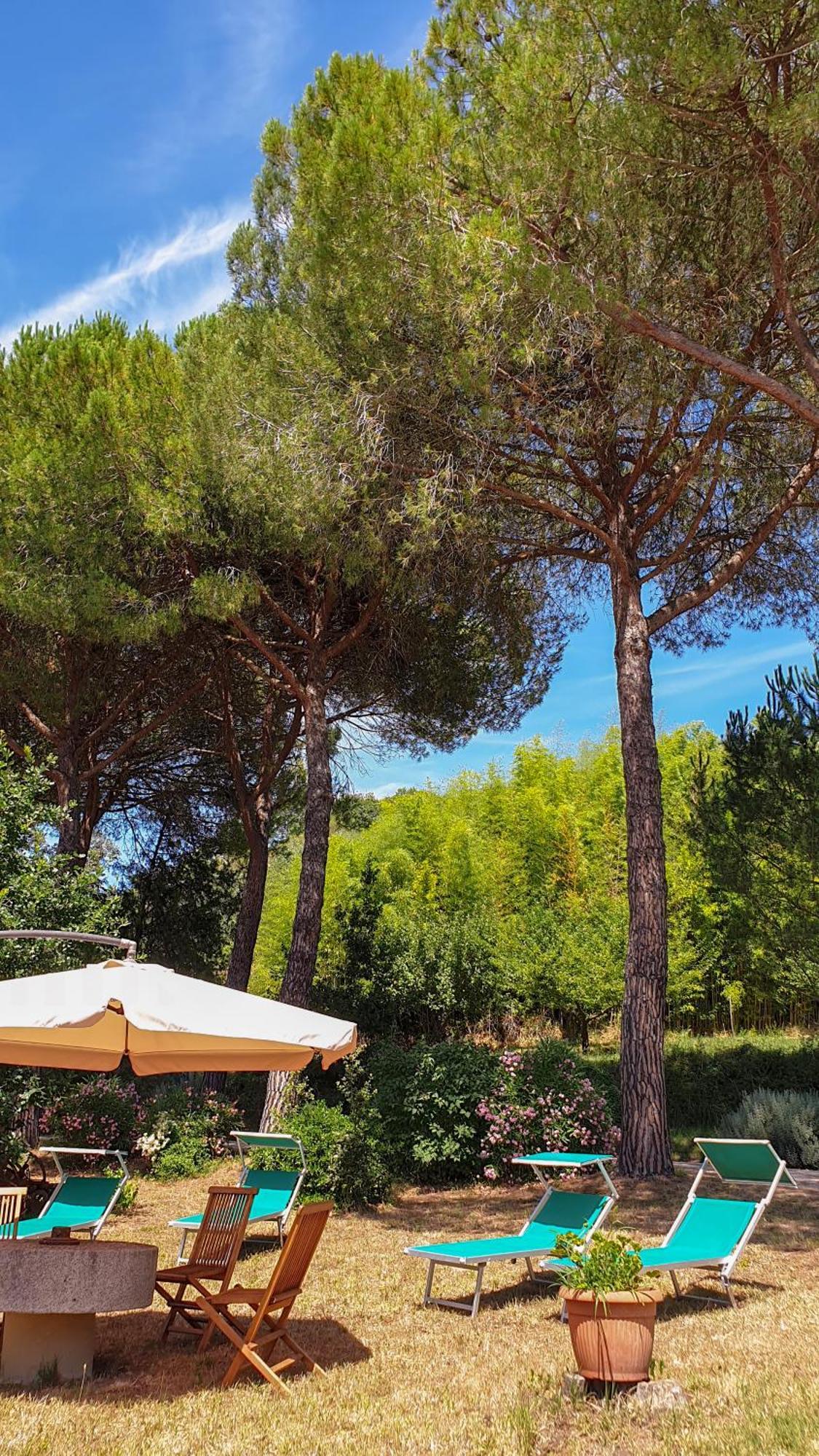 Agriturismo Podere Le Tombe Guest House ปาลายา ภายนอก รูปภาพ